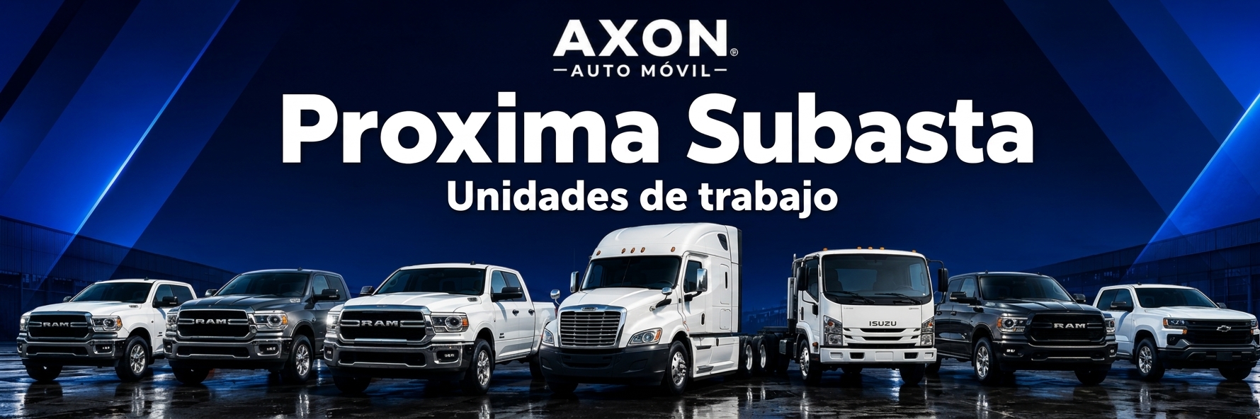 Próxima Subasta